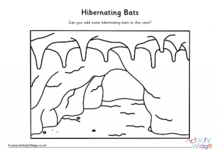 Hibernating Bats Drawing Activity