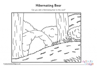 Hibernating Bear Drawing Activity