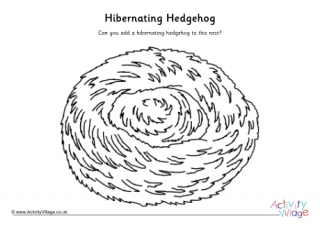 Hibernating Hedgehog Drawing Activity