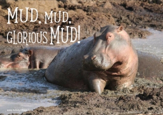 Hippos Glorious Mud Poster