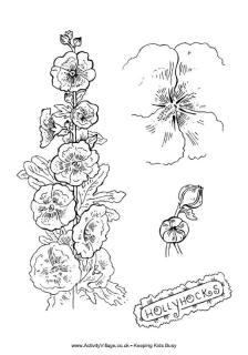 Hollyhocks Colouring Page
