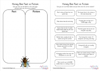 Honey Bee Fact vs Fiction