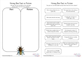 Honey Bee Fact vs Fiction