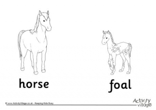 Horse and Foal Colouring Page