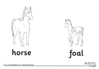 Horse and Foal Colouring Page