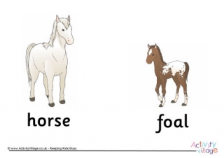 Horse and Foal Poster