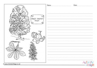 Horse Chestnut Tree Story Paper