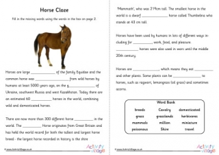 Horse Cloze