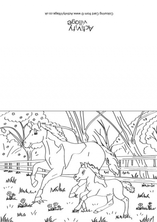 Horses Scene Colouring Card