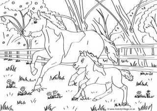 Horses Scene Colouring Page