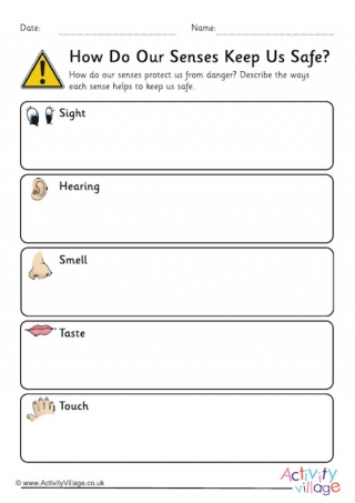 How Do Our Senses Keep Us Safe Worksheet