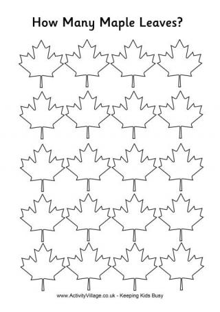 How Many Maple Leaves - Easy
