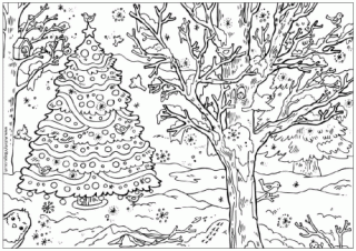 How Many Robins Puzzle and Colouring Page