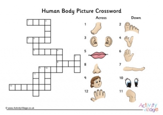 Human Body Picture Crossword
