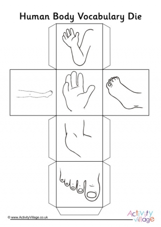 Human Body Vocabulary Die 1