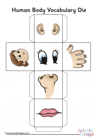 Human Body Vocabulary Die 2