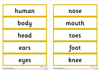 Human Body Word Cards