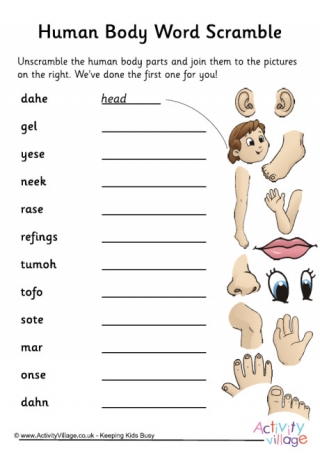 Human Body