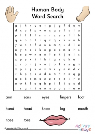 Human Body Word Search