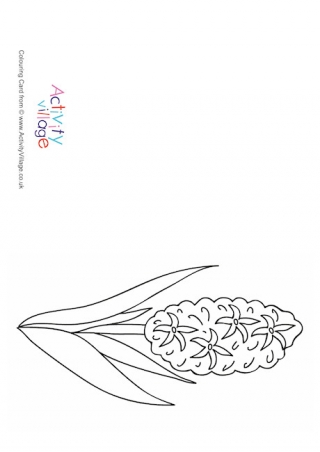 Hyacinth Colouring Card