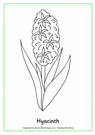 Hyacinth Colouring Page
