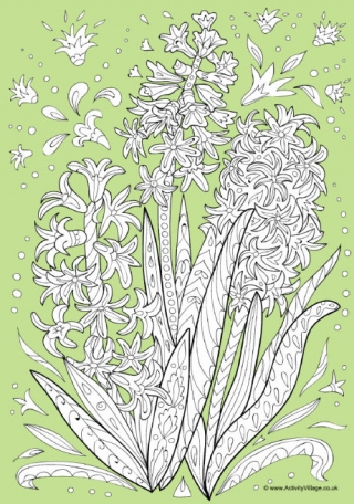 Hyacinth Doodle Colour Pop Colouring Page
