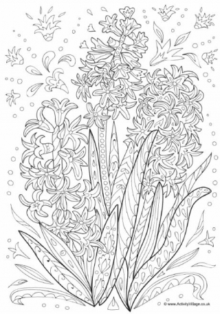 Hyacinth Doodle Colouring Page