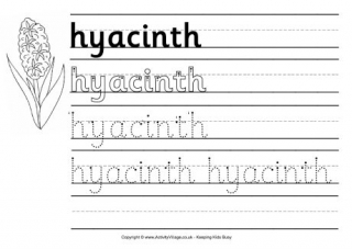 Hyacinth Handwriting Worksheet