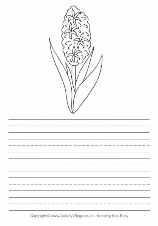 Hyacinth Story Paper