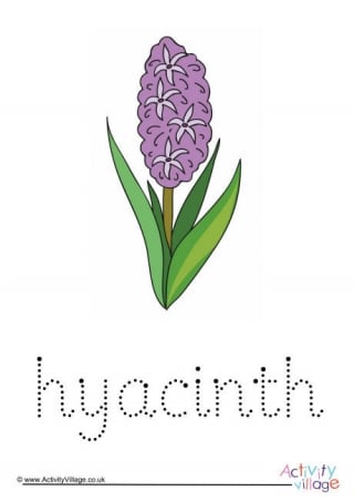 Hyacinth Word Tracing