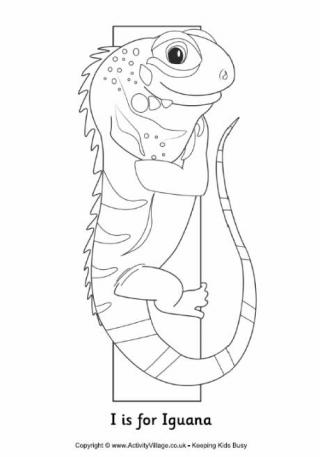 I is for Iguana Colouring Page