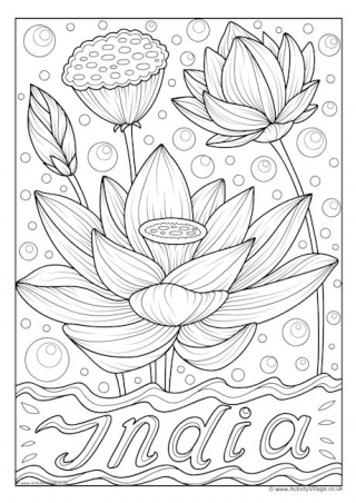 India National Flower Colouring Page