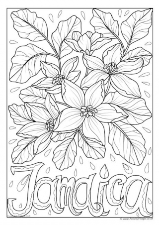 Jamaica Coloring Pages Flowers of the Commonwealth Colouring Pages