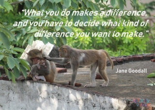 Jane Goodall Quote Poster