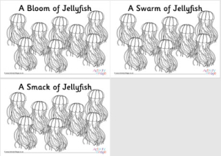 Jellyfish Collective Noun Colouring Pages