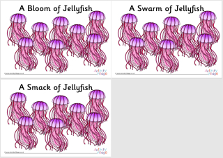 Jellyfish Collective Noun Posters
