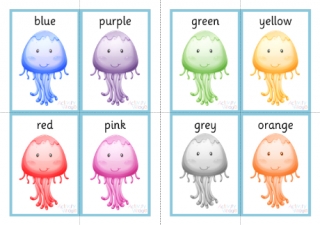 Jellyfish Colour Flash Cards
