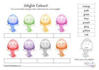 Jellyfish Colour Labelling Worksheet