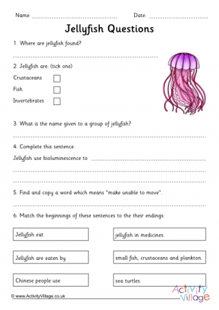 Jellyfish Comprehension Questions
