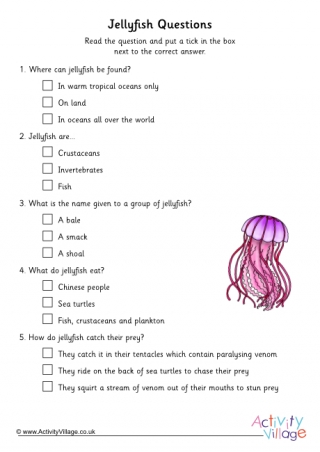 Jellyfish Comprehension Questions - Multiple Choice