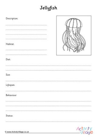 Jellyfish fact finding worksheet