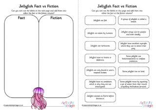 Jellyfish Fact vs Fiction