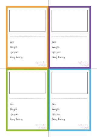 Jellyfish Flashcards