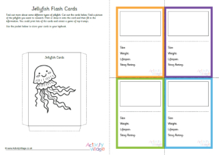 Jellyfish Flaschards and Pocket