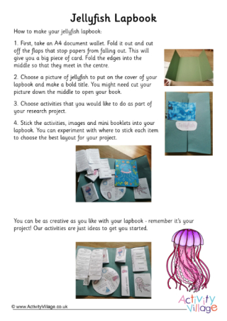 Jellyfish lapbook instructions