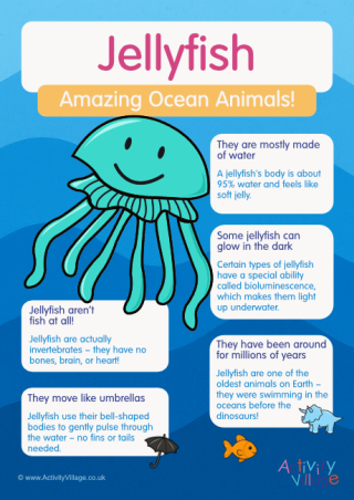 Jellyfish Poster