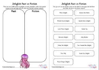 Jellyfish Species Fact vs Fiction