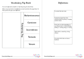 Jellyfish Vocabulary Flip Book