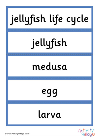 Jellyfish Word Cards