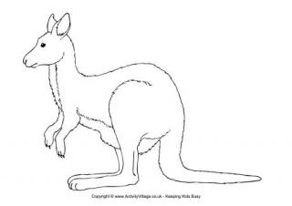 Kangaroo Colouring Page